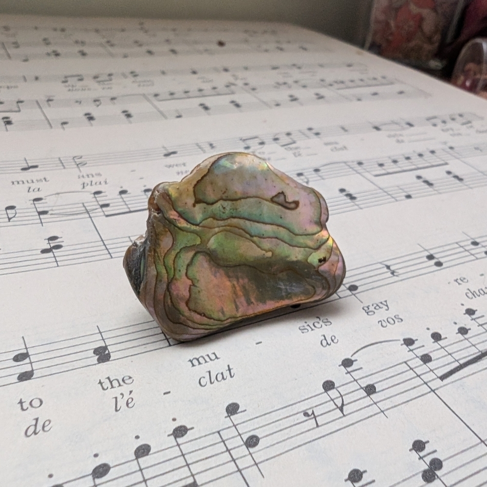 Iridescent Abalone Shell Brooch - Picture 6 of 11